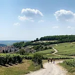 Le 29 - Au Coeur Du Vignoble Champenois *