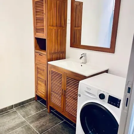 Le 29 - Au Coeur Du Vignoble Champenois Damery (Marne)