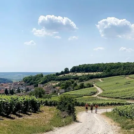 Le 29 - Au Coeur Du Vignoble Champenois *