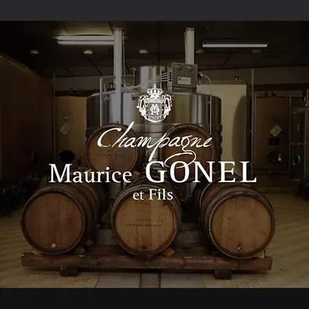 Le 29 - Au Coeur Du Vignoble Champenois Daire *